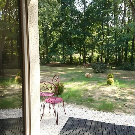 Le Pigeonnier De La Lamoure 4* Villaudric