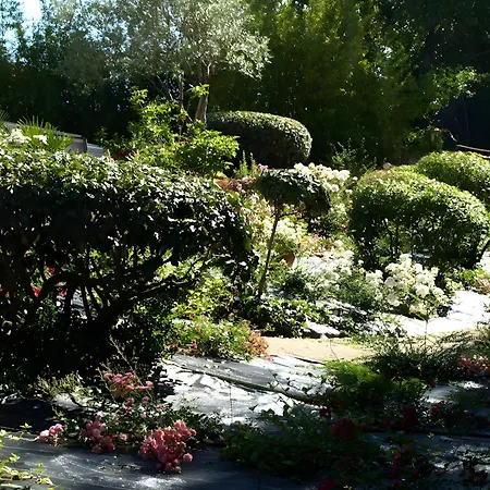 Bed and breakfast Le Pigeonnier De La Lamoure 4*